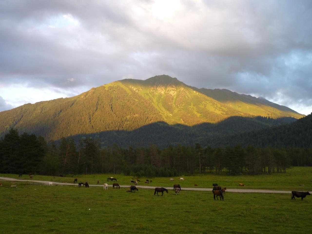 Holiday Park Gornaya Panorama Arkhyz Buitenkant foto